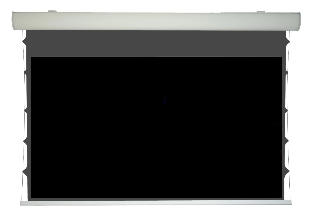 Motorleinwand 4.00m Aufpro